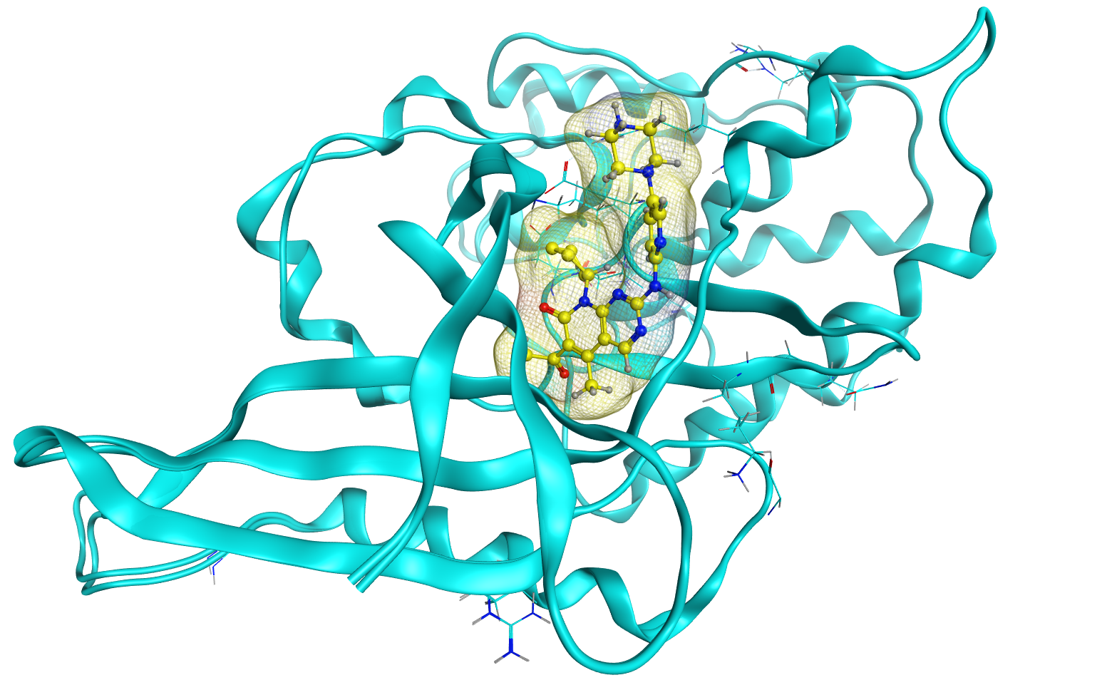 Drug Design & Development