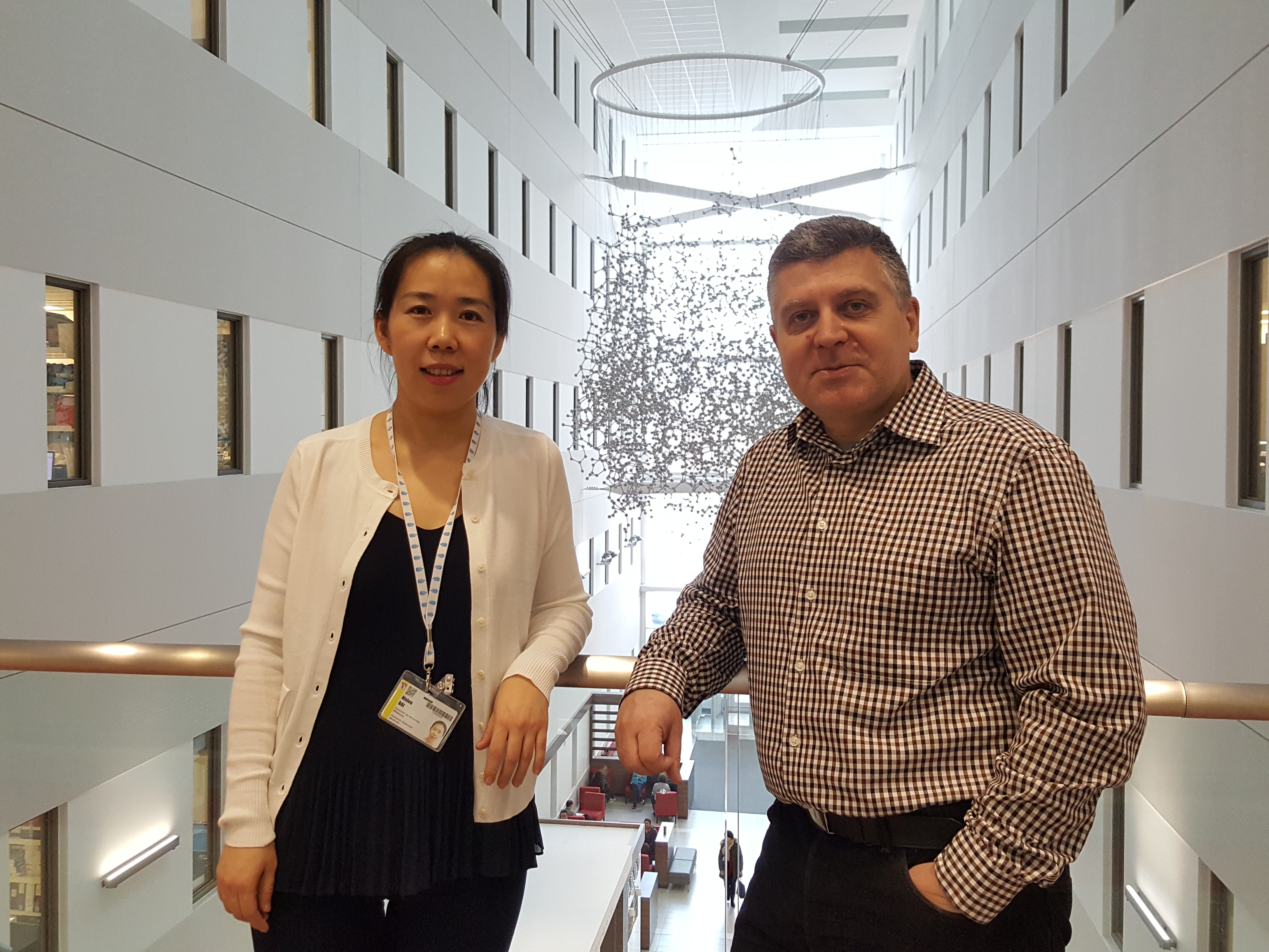 CDK4/6 and DNA repair role in cancer