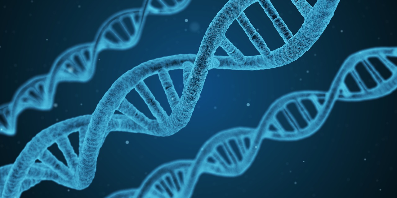 MicroRNAs in Cancer